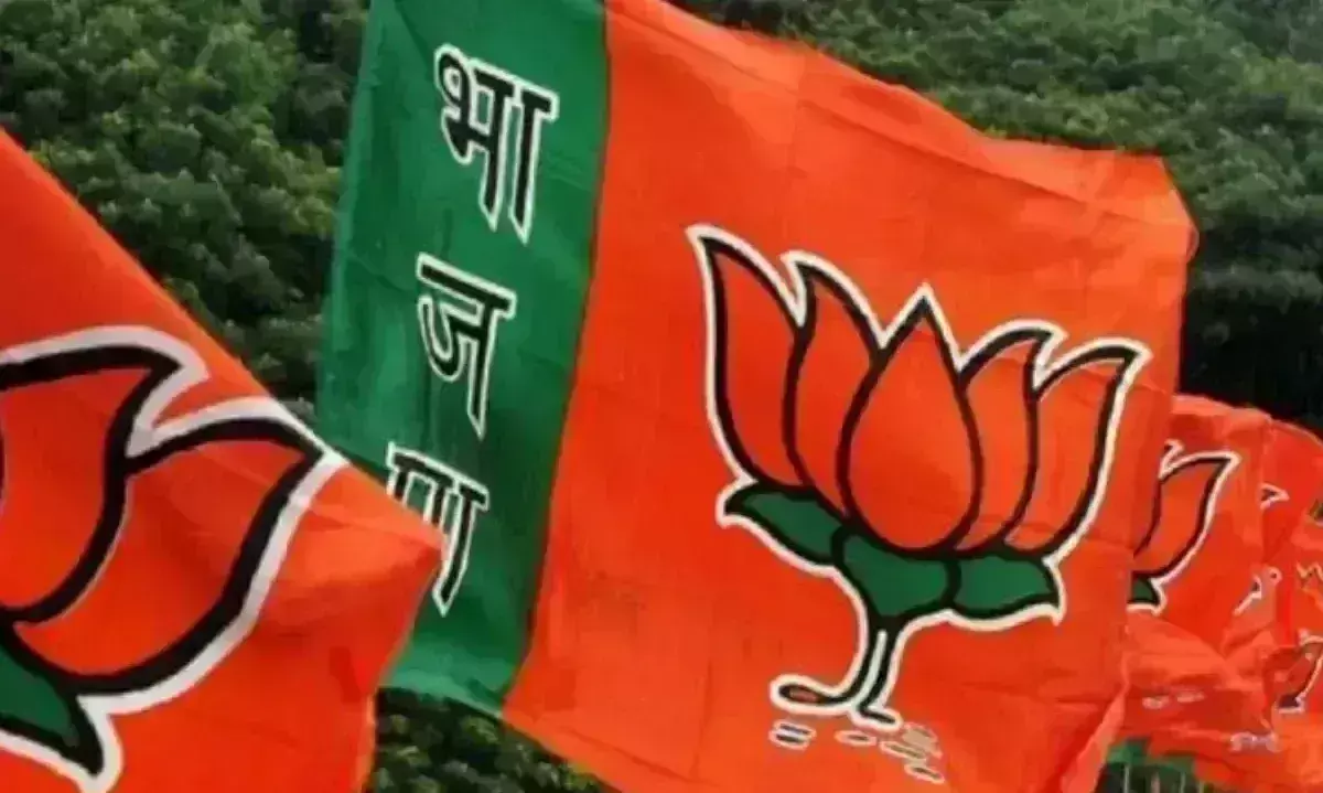 महापौर की हार का मंथन, सभापति भाजपा का होगा, ऊर्जा मंत्री के आते ही लगने लगा मेला