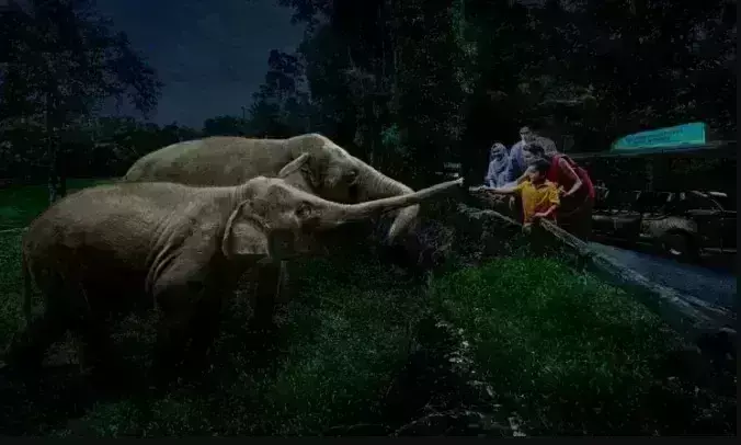 योगी सरकार का तोहफा : सिंगापुर की तर्ज पर लखनऊ में बनेगी देश की पहली नाइट सफारी