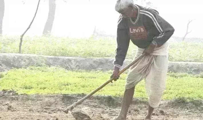 विशेष प्रयास : यूपी में बंजर भूमि पर लहलहाई फसल, कई क्षेत्रों के भूगर्भ जल स्तर में भी आया सुधार विशेष प्रयास : यूपी में बंजर भूमि पर लहलहाई फसल, कई क्षेत्रों के भूगर्भ जल स्तर में भी आया सुधार