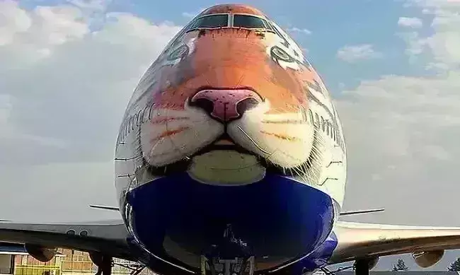 चीतों को भारत लाने के लिए नामीबिया पहुंचा विशेष विमान, 70 साल बाद होगा आगमन