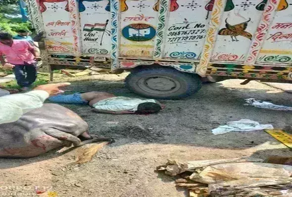 ग्वालियर-भिंड रोड पर हादसा, मवेशियों से भरा लोडिंग वाहन पलटा, 8 लोग घायल