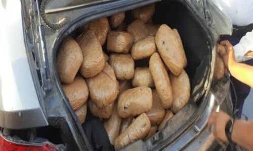 मुरैना में कार से मिला 72 किलो गांजा, ड्राइवर गाड़ी हाइवे पर छोड़कर भागा