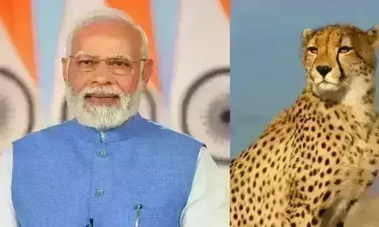 प्रधानमंत्री ने चीतों के नामकरण के लिए मांगे सुझाव, बताया- देखने का अवसर कब मिलेगा