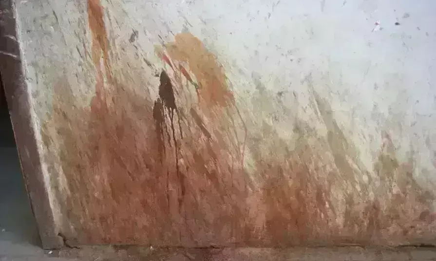 स्वच्छता सर्वे में अब रेड स्पॉट भी शामिल, थूके तो गिरेगी रैंकिंग स्वच्छता सर्वे में अब रेड स्पॉट भी शामिल, थूके तो गिरेगी रैंकिंग