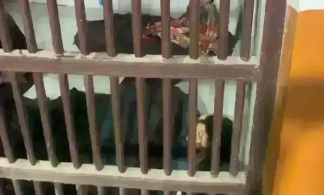 तिहाड़ जेल में टेंशन फ्री दिखा आफताब, पूरी रात आराम से सोता रहा तिहाड़ जेल में टेंशन फ्री दिखा आफताब, पूरी रात आराम से सोता रहा