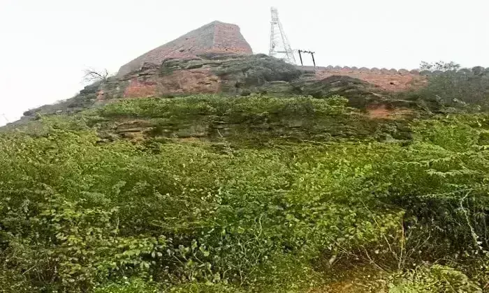 ग्वालियर किले की घाटी से 100 फीट नीचे गिरा युवक संदिग्ध स्थिति में मिला, हालत गंभीर