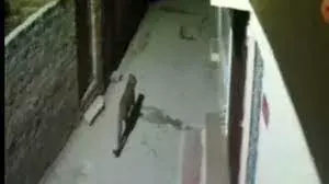 सिकंदर कम्पू में आधी रात को दिखा तेंदुआ, सीसीटीवी में तेंदुआ घरों के बाहर टहलता दिखा