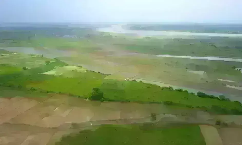 ब्रज में देश का सबसे बड़ा सिटी फॉरेस्ट सौभरि शहर वन बना रही योगी सरकार