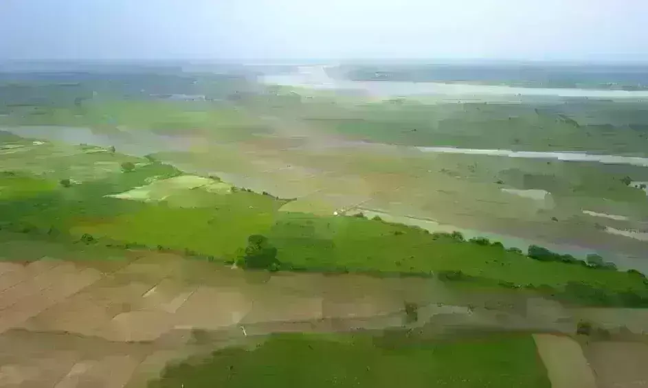 ब्रज में देश का सबसे बड़ा सिटी फॉरेस्ट सौभरि शहर वन बना रही योगी सरकार