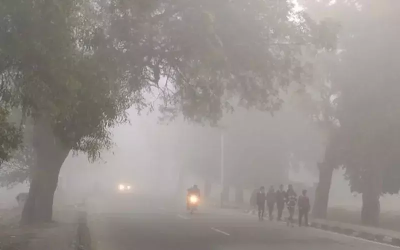 मप्र में अगले सात दिन पड़ेगी कड़ाके की ठंड, ग्वालियर-चंबल में स्कूलों की छुट्टी