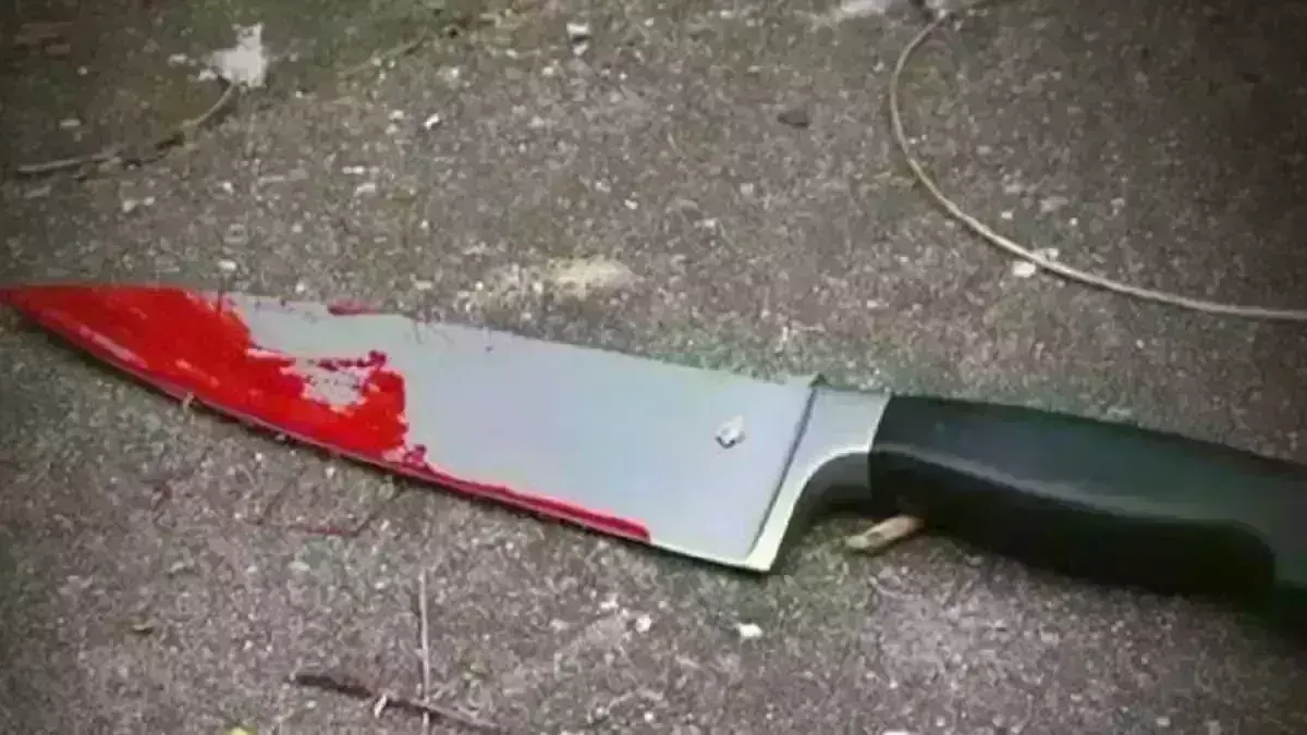 लिव इन में रह रही प्रेमिका ने प्रेमी की माँ को मारा चाकू, पुलिस ने दर्ज की FIR