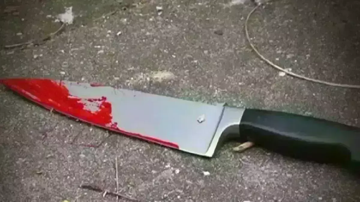 लिव इन में रह रही प्रेमिका ने प्रेमी की माँ को मारा चाकू, पुलिस ने दर्ज की FIR लिव इन में रह रही प्रेमिका ने प्रेमी की माँ को मारा चाकू, पुलिस ने दर्ज की FIR