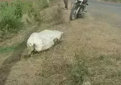 ग्वालियर में हत्या कर युवक की लाश बोरे में भरकर फेंकी, पुलिस जांच में जुटी