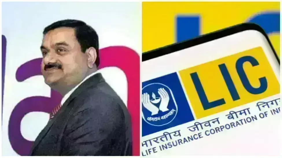 LIC की सिर्फ अडानी नहीं इन...36 कंपनियों में है हिस्सेदारी, 6 महीने में 58 फीसदी टूटा शेयर