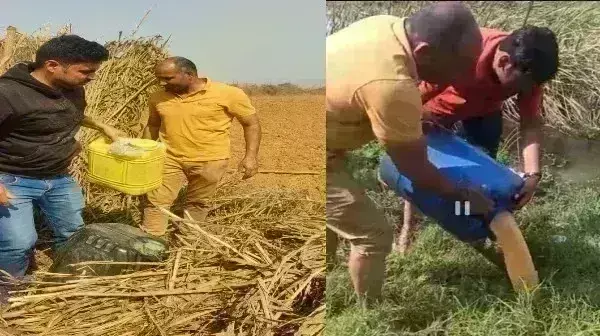 आबकारी महकमे ने मोहनपुर में मारा छापा, छह लाख की शराब नष्ट