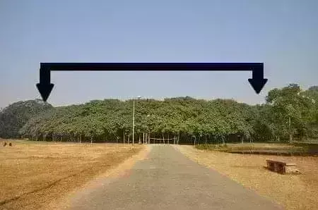 जंगल नहीं यह एक पेड़ है : 1.5 लाख वर्ग मीटर में फैला है एक बरगद का पेड़, उम्र 250 साल