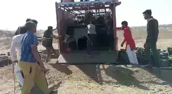 इंदौर-इच्छापुर हाईवे पर गोवंश की तस्करी, दो लोग गिरफ्तार