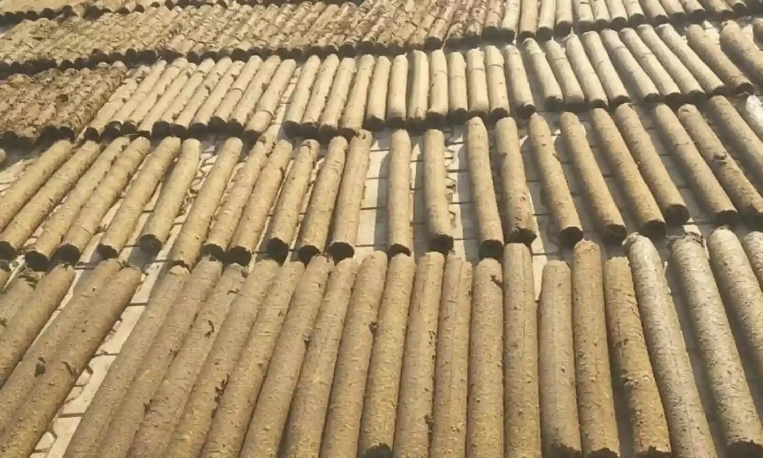 होली पर गोकाष्ठ का दहन, पेड़ बचाकर संरक्षित कर रहे पर्यावरण