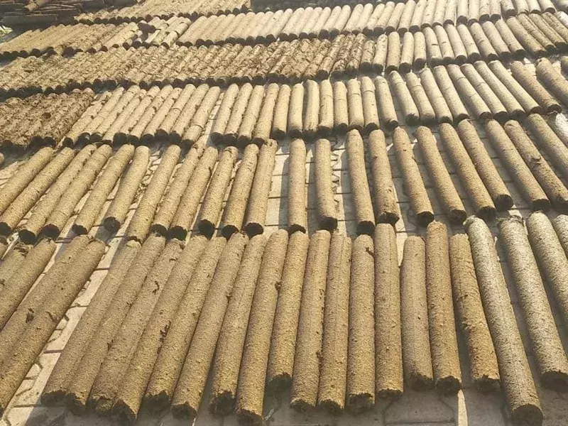 होली पर गोकाष्ठ का दहन, पेड़ बचाकर संरक्षित कर रहे पर्यावरण होली पर गोकाष्ठ का दहन, पेड़ बचाकर संरक्षित कर रहे पर्यावरण