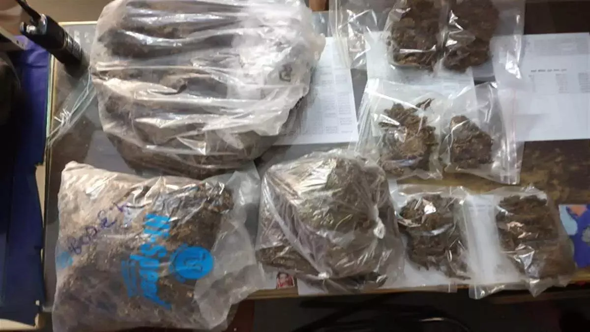 15 किलो गांजे के साथ आरक्षक साथी सहित दबोचा