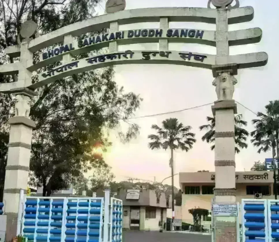 मप्र में महंगे हो गए सांची के उत्पाद, जानिए दही और लस्सी पर अब कितना देना होगा दाम