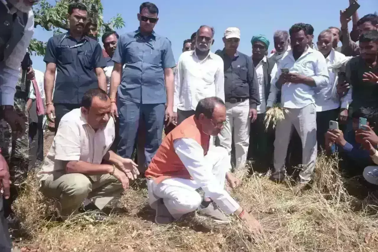 मुख्यमंत्री शिवराज सिंह का बड़ा ऐलान, ओला पीड़ित किसानों से नहीं होगी कर्ज वसूली, मिलेंगे 32000 रुपये