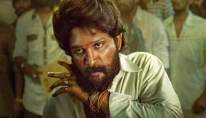 पुलिस ने शुरू की पुष्पा की तलाश, हर कोई पूछ रहा आखिर कहां गया? सामने आया पहला वीडियो