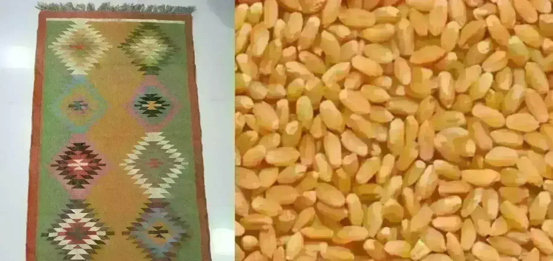 शरबती गेहूं, ग्वालियर की हस्तनिर्मित कालीन सहित 9 उत्पादों को मिला जीआइ टैग