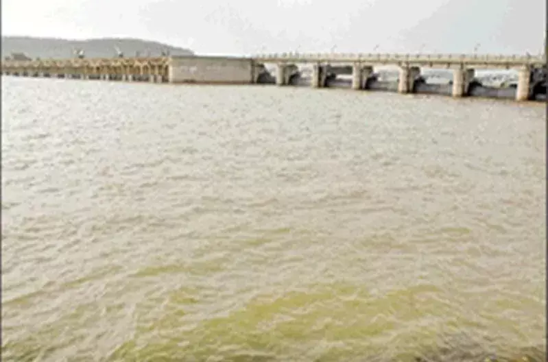 तिघरा थाना क्षेत्र में डैम के पास तैरती मिली अज्ञात युवक की लाश