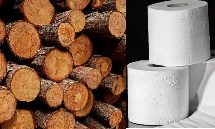 धरती दिवस पर विशेष : क्या आप जानते है कितने पेड़ों के कटने पर बनता है एक टिशू रोल