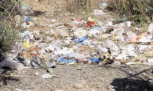 पूरे शहर की सफाई का जिम्मा निगम पर, खुद के कार्यालयों में गंदगी