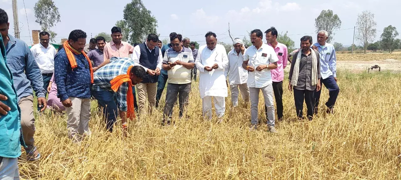 कृषकों को 56 लाख रुपए की प्रथम किस्त जारी कृषकों को 56 लाख रुपए की प्रथम किस्त जारी