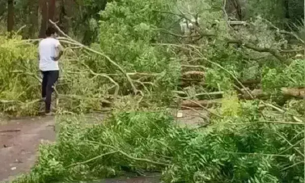 ग्वालियर-चंबल में मौसम विभाग ने घोषित किया ऑरेंज अलर्ट, 50 कि.मी की रफ्तार से चलेगी हवा