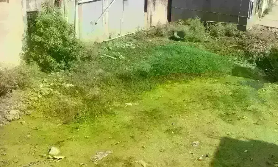 आमला नगरपालिका द्वारा साफ-सफाई पर नहीं दिया जा रहा ध्यान