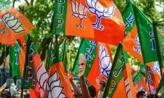 प्रधानमंत्री के नेतृत्व में हुए विकास कार्य की जानकारी जनता तक पहुंचा रहे है भाजपा कार्यकर्ता