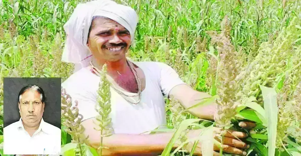 एमएसपी की घोषणा से किसानों को बड़ी राहत