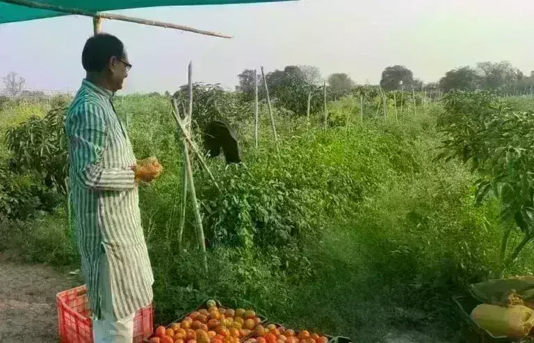 खेती को लाभ का धंधा बनाते शिवराज सिंह