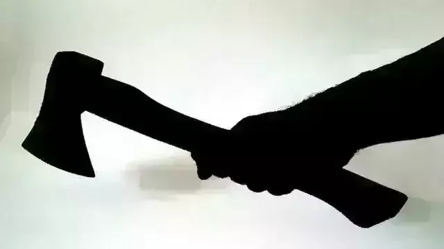 भिंड में बुजुर्ग दंपत्ति की कुल्हाड़ी मारकर हत्या, बेटा लापता भिंड में बुजुर्ग दंपत्ति की कुल्हाड़ी मारकर हत्या, बेटा लापता