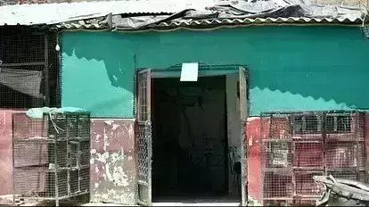 उमेश पाल हत्याकांड : बमबाज गुड्डू मुस्लिम पर बड़ी कार्रवाई, PDA ने चिकन शॉप सील की