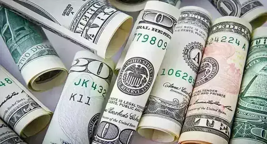 विदेशी मुद्रा भंडार में आई कमी, 1.32 अरब डॉलर घटकर 593.75 अरब डॉलर पर आया