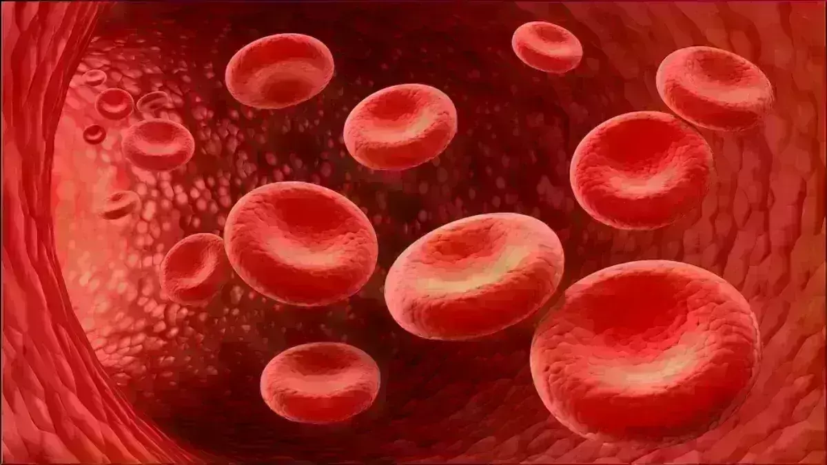 World Sickle Cell Day: सिकल सेल एनीमिया जनजाति समाज के लिए एक अभिशाप