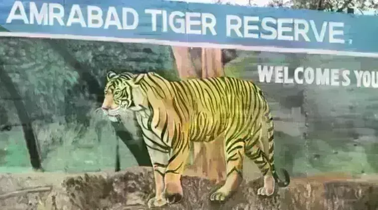 Amrabad Tiger Reserve: बढ़ी शावकों की संख्या, जानिए प्राकृतिक सौंदर्य से घिरे इस क्षेत्र में कैसे पहुंचे Amrabad Tiger Reserve: बढ़ी शावकों की संख्या, जानिए प्राकृतिक सौंदर्य से घिरे इस क्षेत्र में कैसे पहुंचे