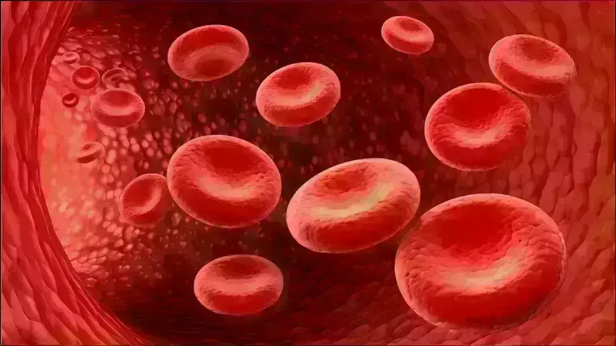 World Sickle Cell Day: सिकल सेल एनीमिया जनजाति समाज के लिए एक अभिशाप