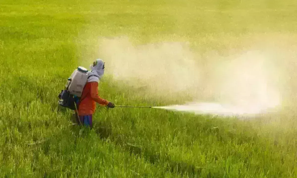 केन्द्रीय मंत्रिमंडल ने पीएम प्रणाम योजना को दी मंजूरी, जानिए किसानों को कैसे होगा लाभ केन्द्रीय मंत्रिमंडल ने पीएम प्रणाम योजना को दी मंजूरी, जानिए किसानों को कैसे होगा लाभ