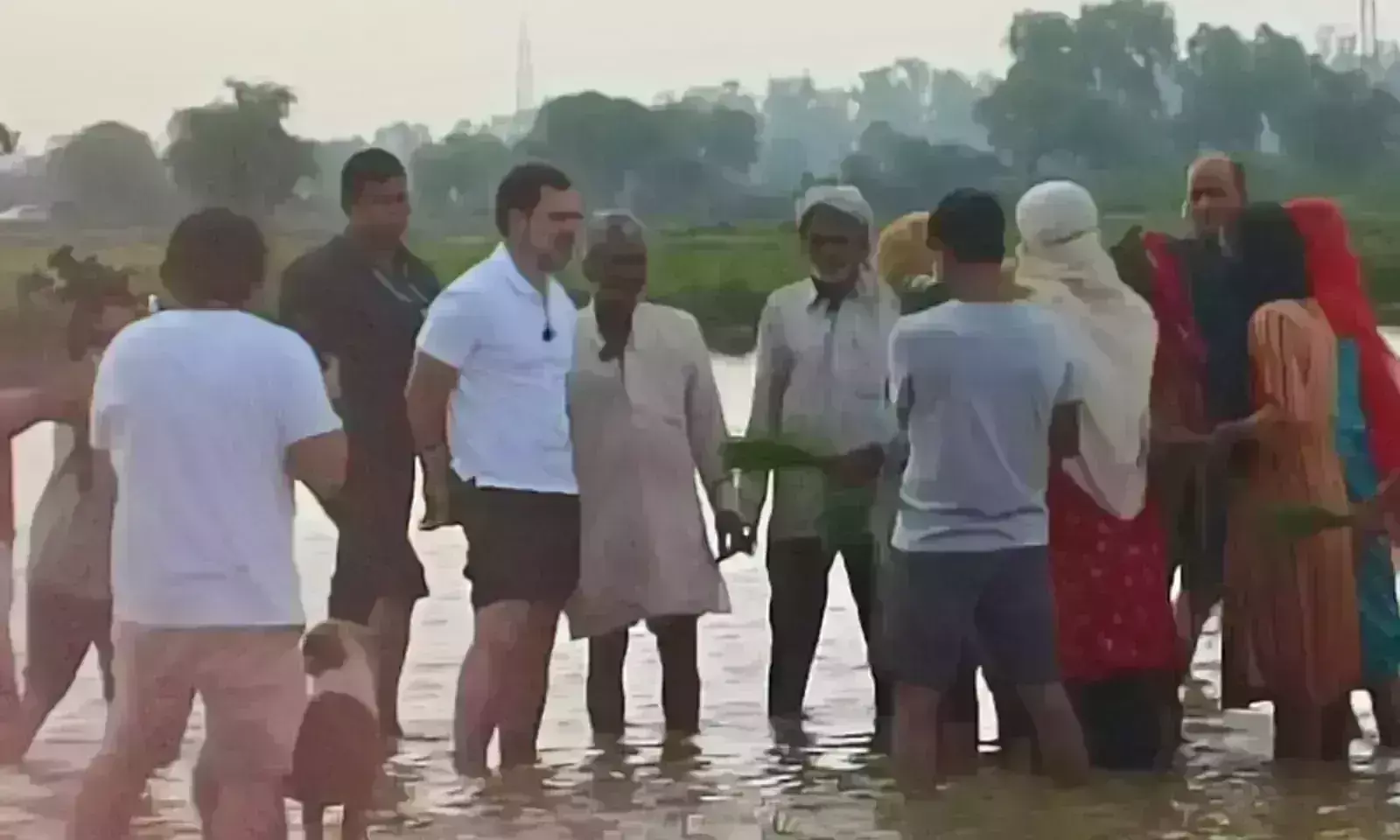 हरियाणा में राहुल गांधी ने किसानों संग रोपे धान के पौधे, ट्रैक्टर चलाकर खेत तैयार किया
