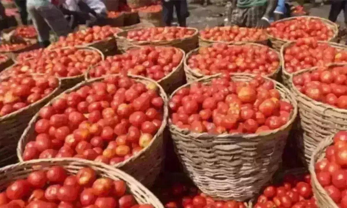 जल्द ही कम हो जाएंगे टमाटर के दाम, केंद्र सरकार ने बनाया बड़ा प्लान