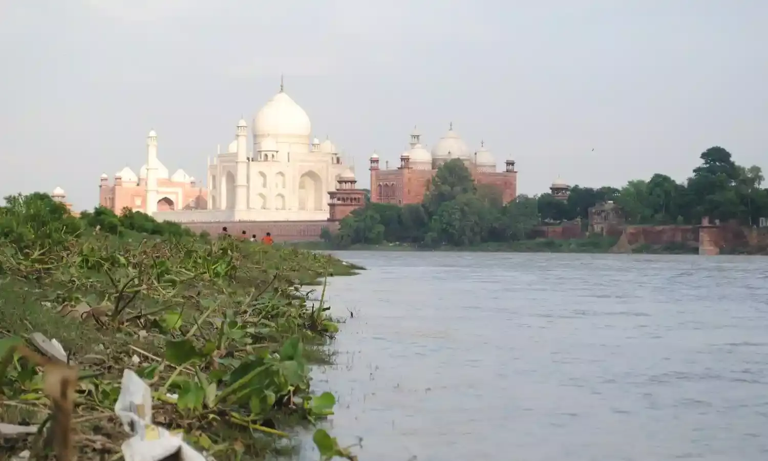 आगरा में लगातार बढ़ रहा यमुना नदी में पानी, 492.3 फुट पर पहुंचा जलस्तर