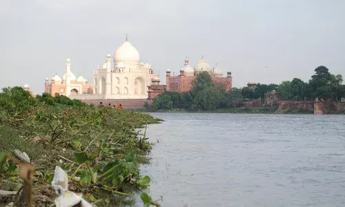 आगरा में लगातार बढ़ रहा यमुना नदी में पानी, 492.3 फुट पर पहुंचा जलस्तर