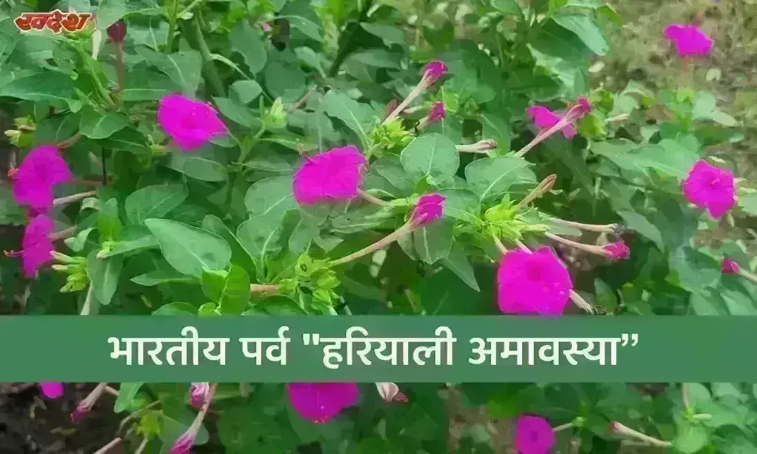 विश्व पर्यावरण संरक्षण के संकल्प बोध का अनूठा भारतीय पर्व हरियाली अमावस्या