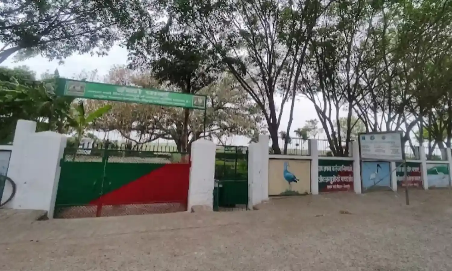 ‘समान पक्षी विहार’ को ‘सारस’ की शरण स्थली के रूप में किया जाएगा विकसित